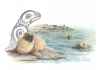 Sea Lion